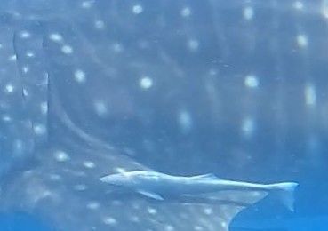 1dc31906-12e3-42cb-9920-4cdc0a67ea9a