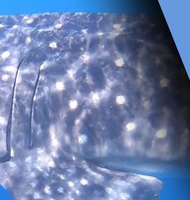 7f86c9ef-5ed1-42d4-97a0-7dc1f879c2f8