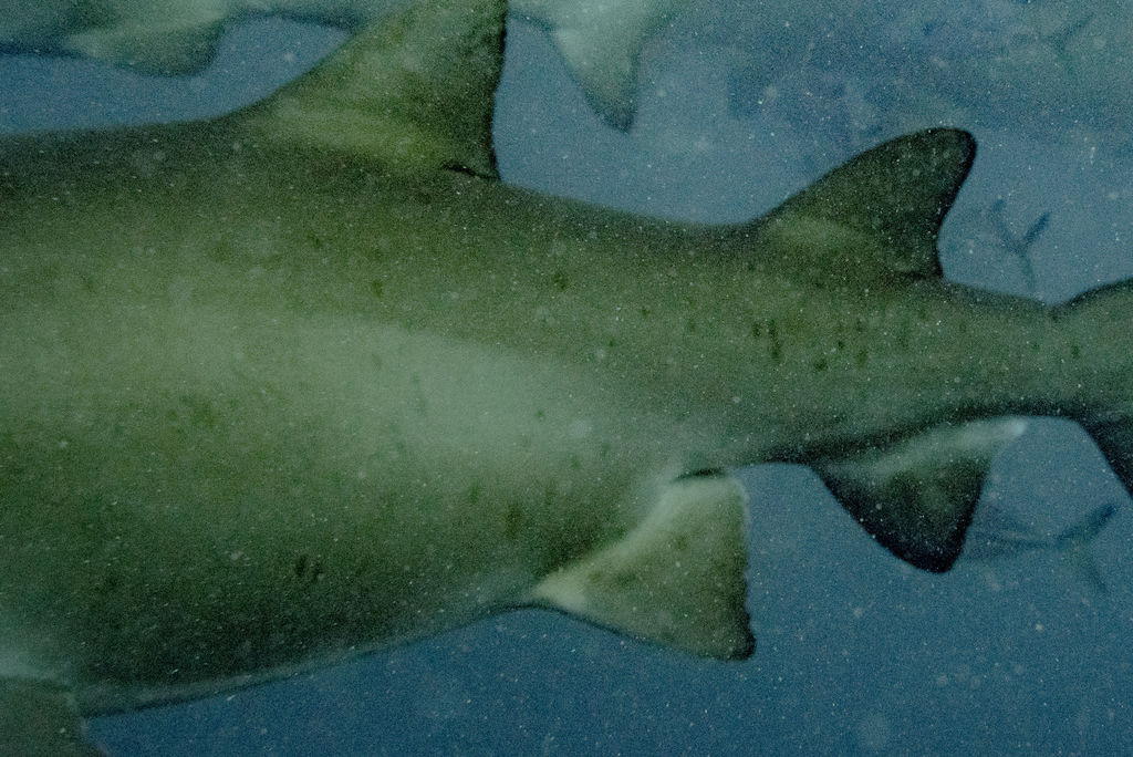 cd45427a-af4c-4940-84e6-5ac26b80442b