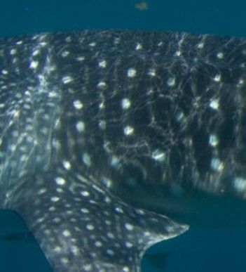 69956881-8e08-433a-b431-93c9fa6331be