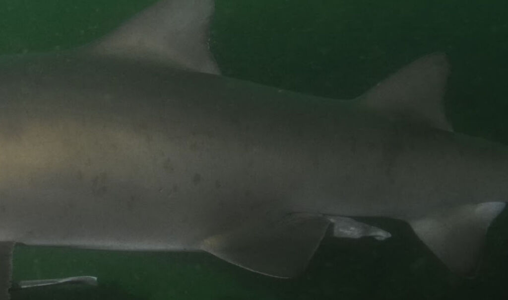 fbc79ca4-b1dc-4d8c-98b6-97c85034a9cf