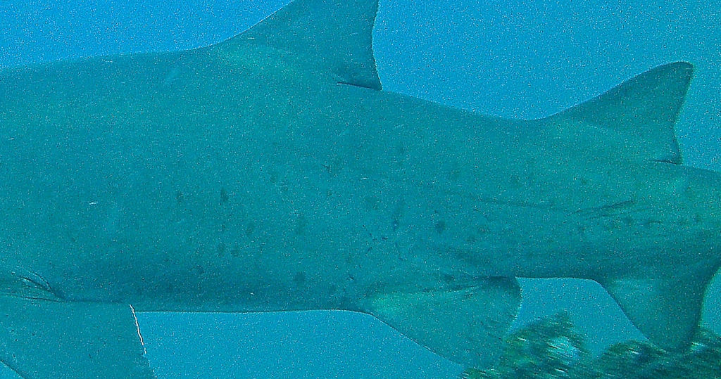 ad9992de-ba73-4394-ac43-e41a63c3a7c2