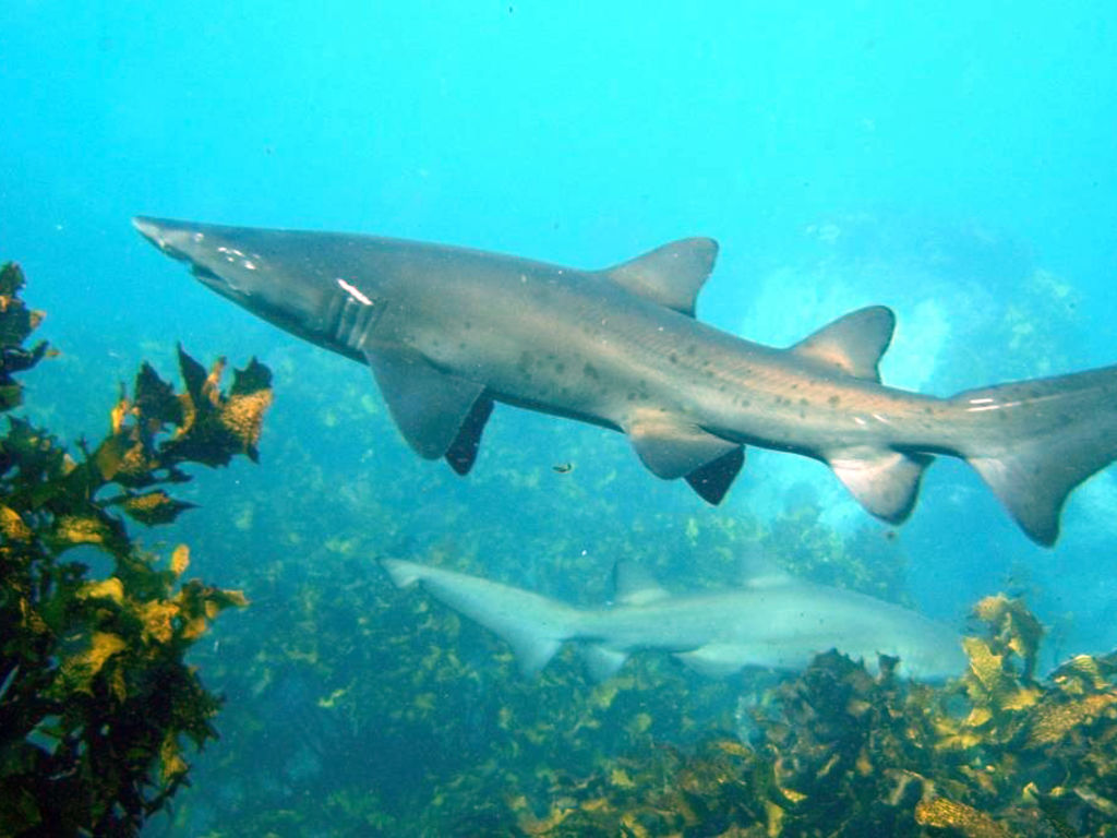 6a3effed-f081-4c57-a254-3ff68fa62a6c