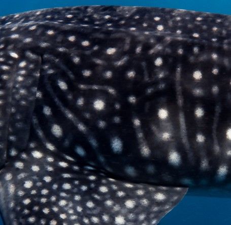 92138322-2f5d-437c-a803-f2b986402d04