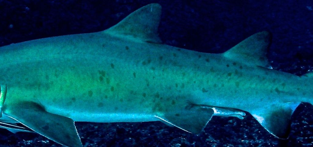 7572d2d2-4971-489d-9eb7-4b42b644f6e3