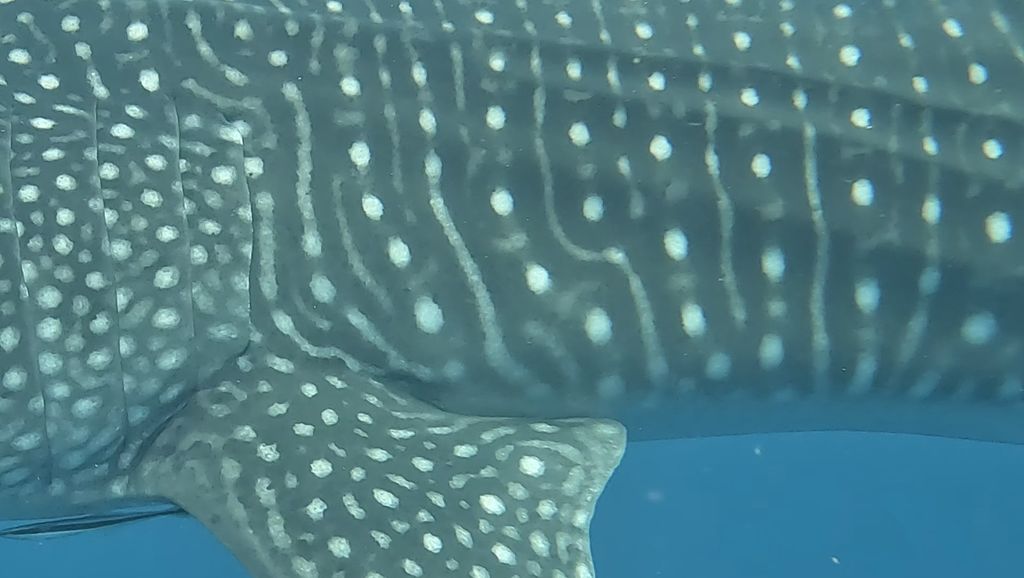 2eb77de9-1170-49a0-b6a2-5b97f72839bf