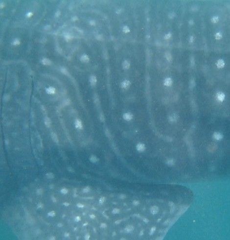 b78ff492-0e77-4f7b-9d1f-242505955acf