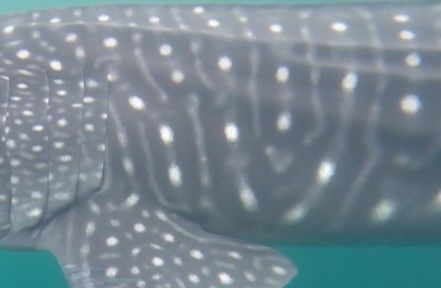 1f54dbc0-19f3-4259-9a6f-69d17b331f5a