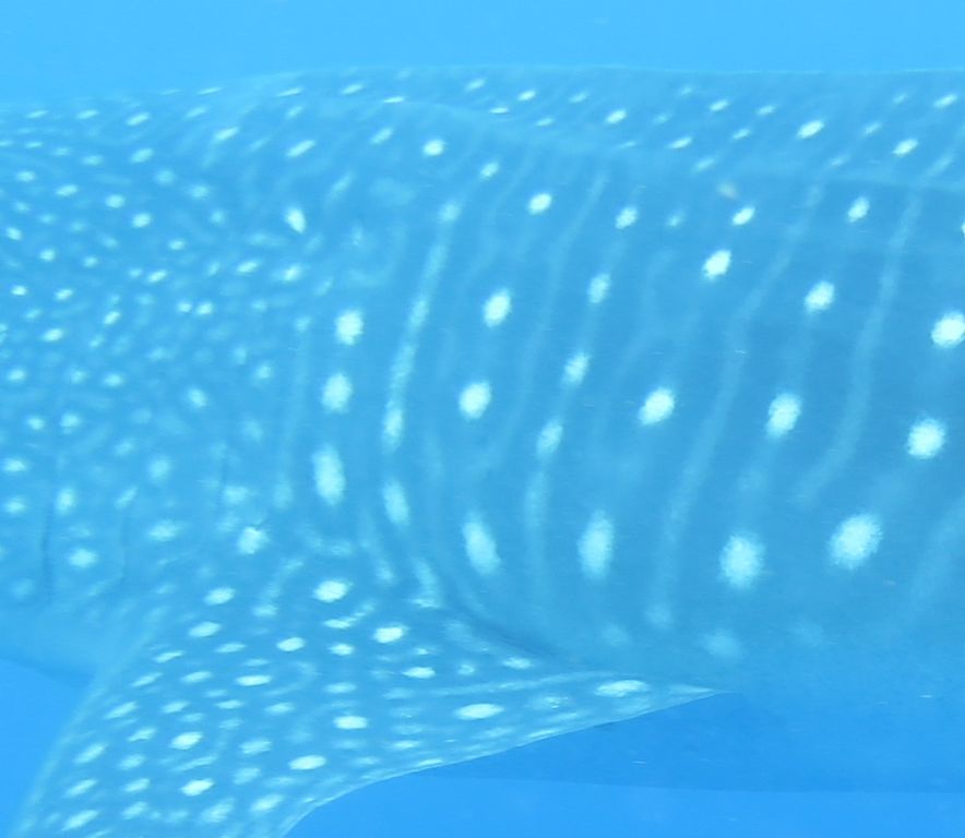 42cf9e79-b911-4643-8746-77dcaf1cbc97