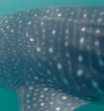 0cb76c92-4800-4c9e-b359-4288c8868e86