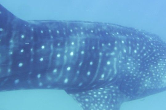 f3015d78-b0f5-4987-8ddf-ba0bbef28e63