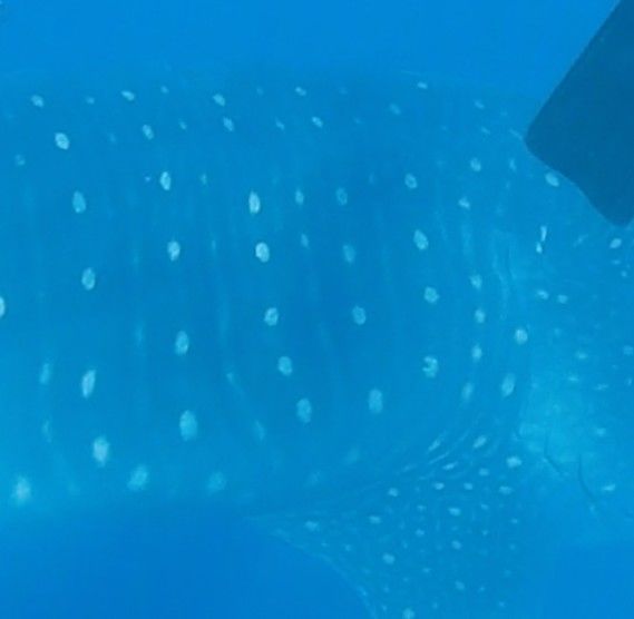 f2b60c89-253b-491c-87f8-8e8c4295831b