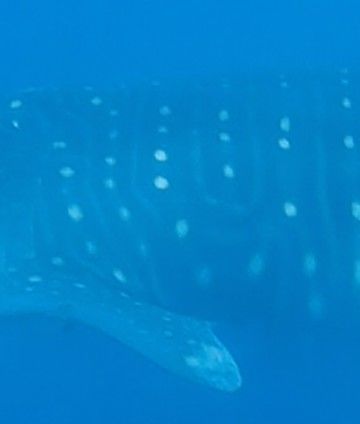 f2b60c89-253b-491c-87f8-8e8c4295831b