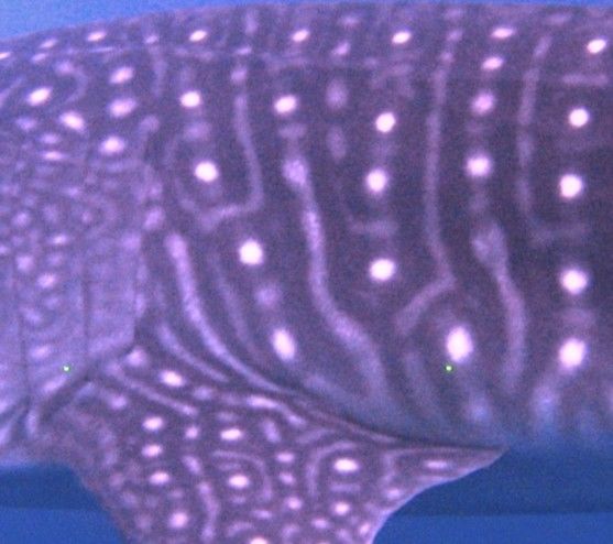 14274448-99cf-42e0-a88e-8c49bfc07749