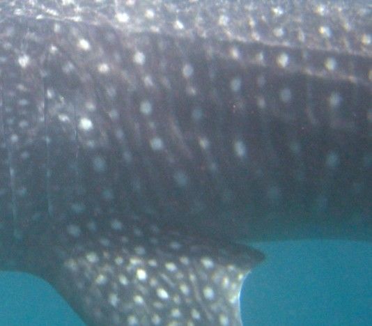 54e3d2af-5e24-4dfb-ab96-ff672d792227