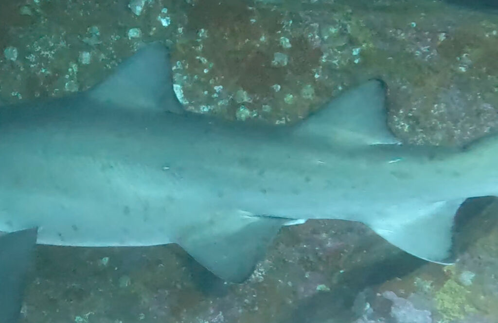 f9a132f2-6800-451c-9700-d692ad72811e