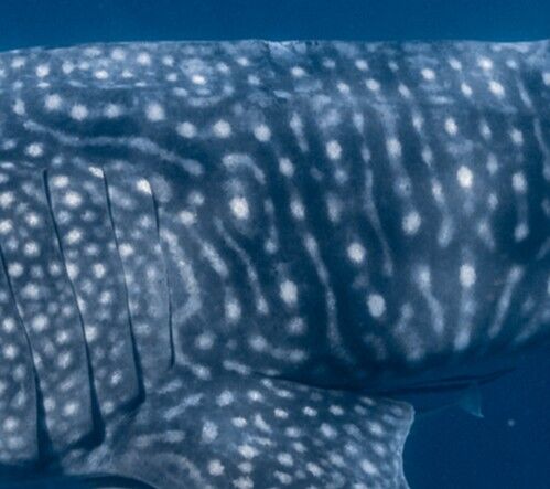 01bbc2ad-0df2-4e0c-bef5-8cd9f14cc6f6