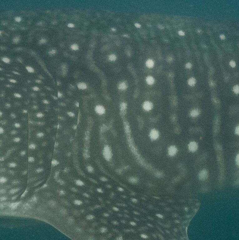 79db757f-721f-4516-9c14-2eedea3eb3cf