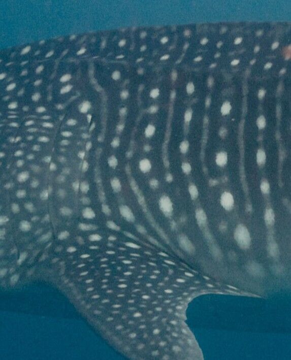 50020b70-60e5-4b21-8f04-3d3fa822ab0d