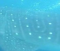 08f44416-ec8d-459d-85ec-4fc0c9ac8961