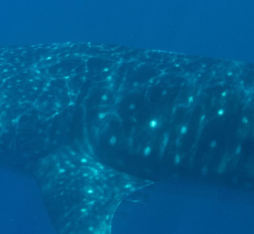 84d5aa59-86d6-4f95-aab4-0b88bcc16855