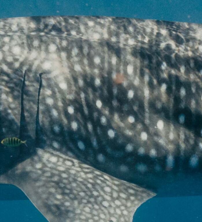 46118357-3342-4657-9a67-5498da5df73b