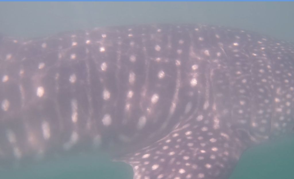 df7eef68-41f3-424c-9529-07f7f83cb67a