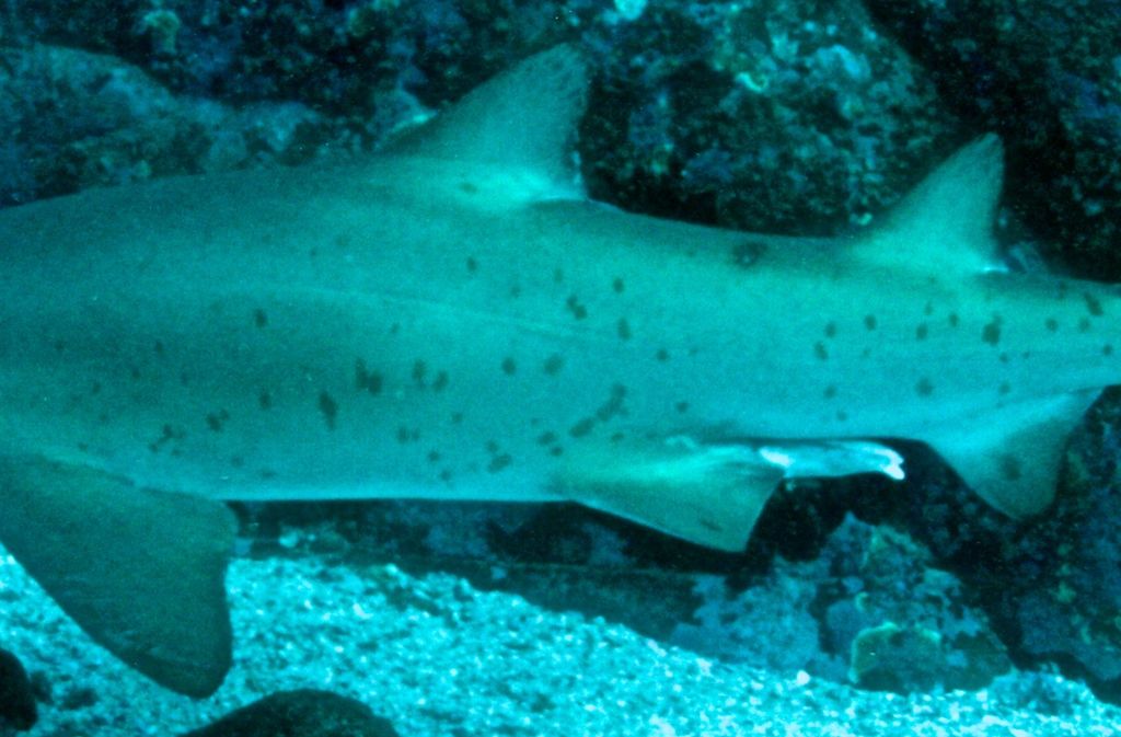 73bbb929-d2df-494b-bf0c-d96a8c95124c