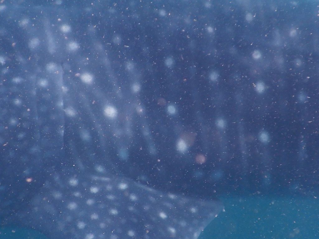 35850f36-8077-44ee-b787-f880009653db