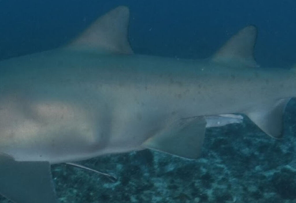 afe099b6-fc29-4b2e-836e-d39ee8e48323