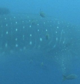 3404bc82-a6cb-4c81-8ac6-5ac4d3770468