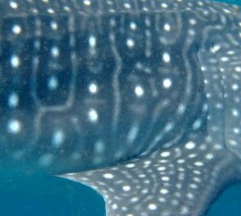 712b71c3-e829-490a-9eaf-b825986949e2