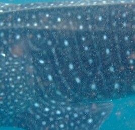 712b71c3-e829-490a-9eaf-b825986949e2