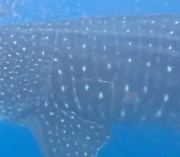 7ce9b0b6-bb83-4137-a7a1-70b57bfb37d7