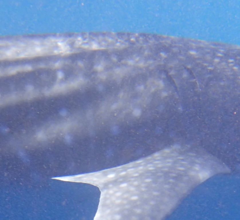 9220f584-bb47-4c68-970a-4355e05d83a6