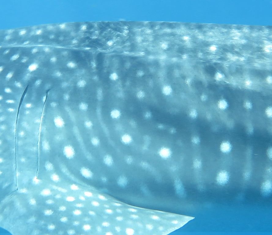 9220f584-bb47-4c68-970a-4355e05d83a6