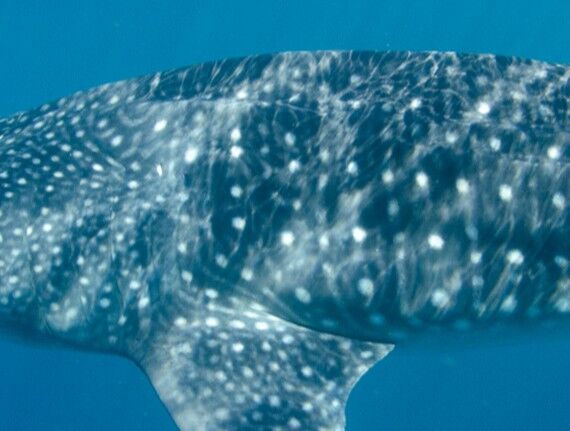 2f558cb7-62f8-4b3c-ab64-e1d8a6dc7268