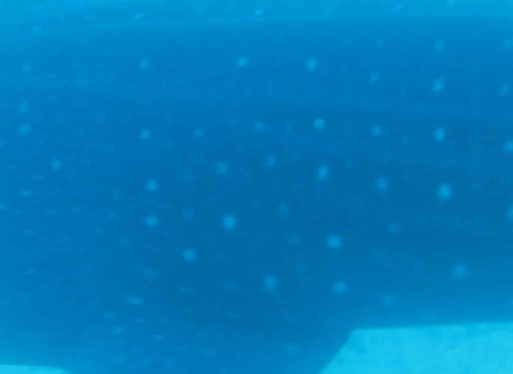 f1f5316c-eb30-4a4c-a608-6df203e9f2f5