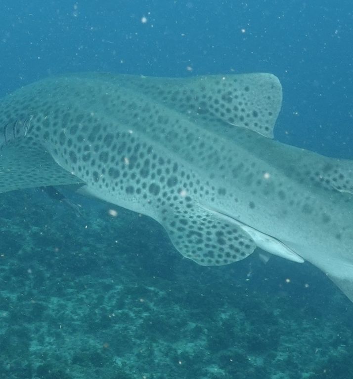 231922f7-11e3-4693-be73-e5438534ef9c