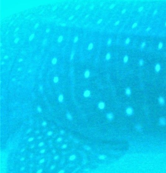 c3897031-a2c2-4bc9-8e4c-5e8e8cabee69