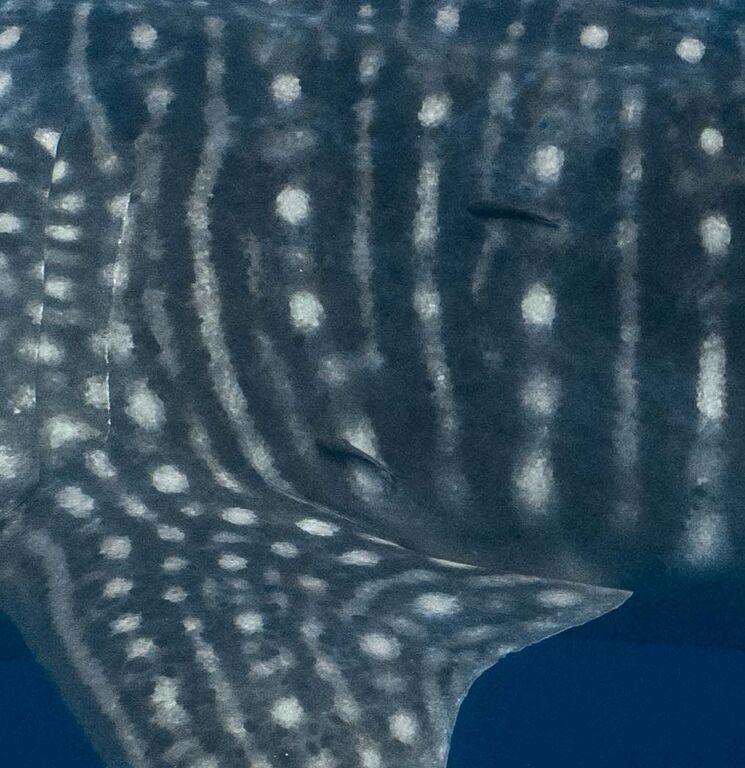 6ccce15c-57ef-46b0-82c0-9eb370118b70