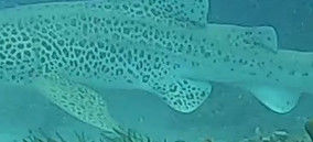 66f6fd12-ff47-421c-8e7b-0783771bec19