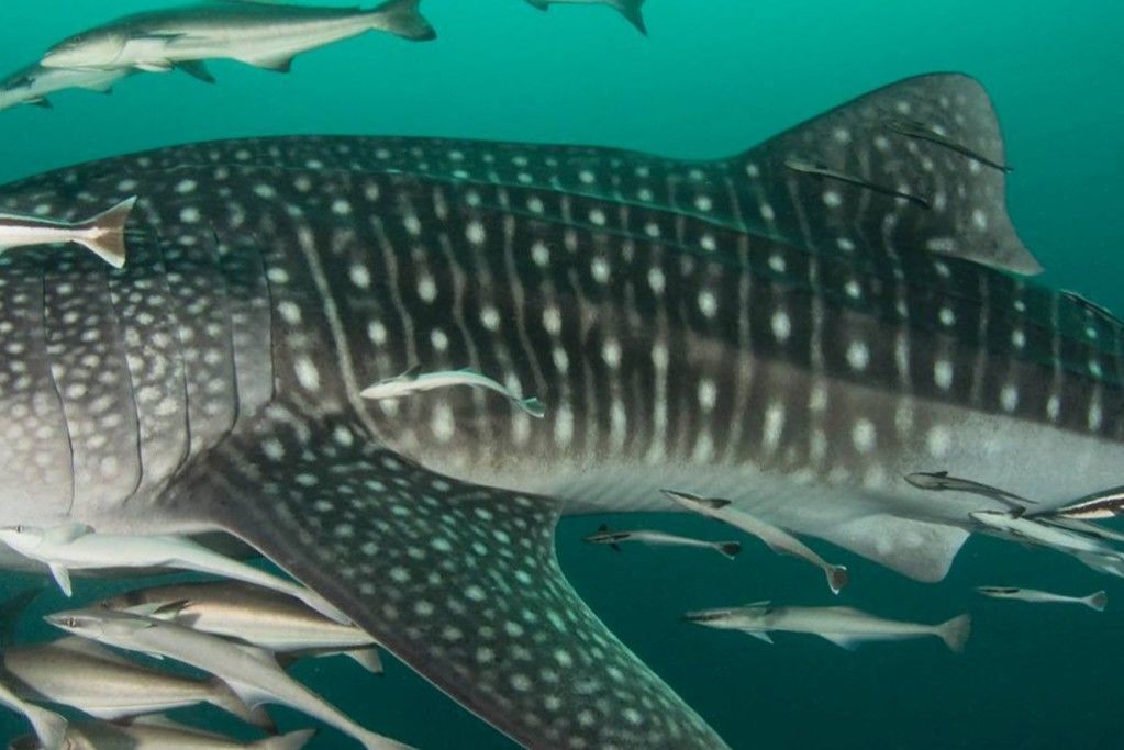 0fded214-577f-4b7f-b1a0-982ca1405b29