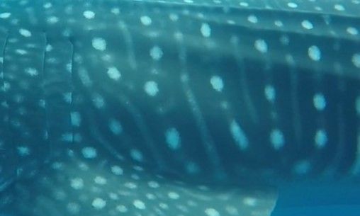 99b9a83a-639e-410b-b503-d4b2ee182b62