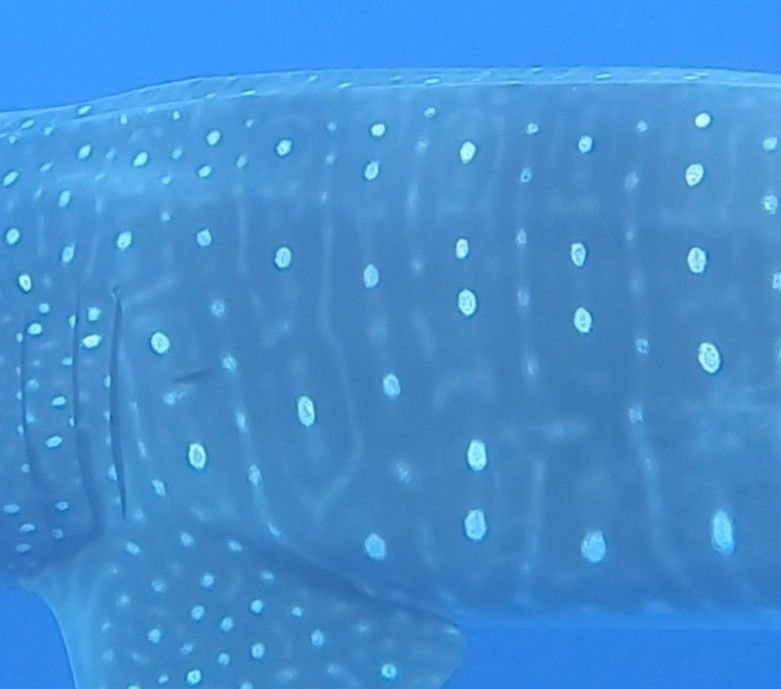 bb9aebc2-0720-44dc-974c-8c303fe37e40