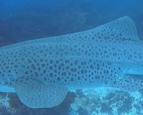 c4f39b7f-b056-431c-8f8e-b49d3ee7fb9a