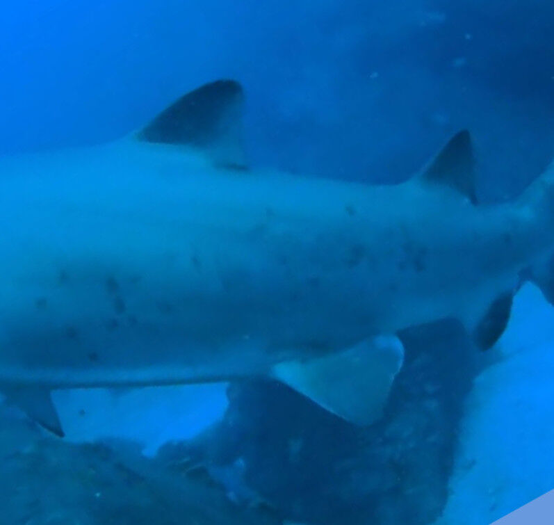 9367b118-dd1d-4f6c-bf6f-69671f01c09e