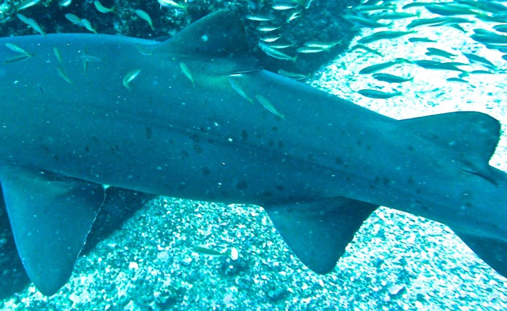 3f4f684a-1a10-4d47-9b5a-52c70ad74354