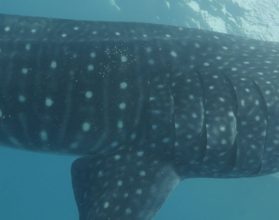 5a57ae01-a63a-42d8-a574-789c44d0c59a