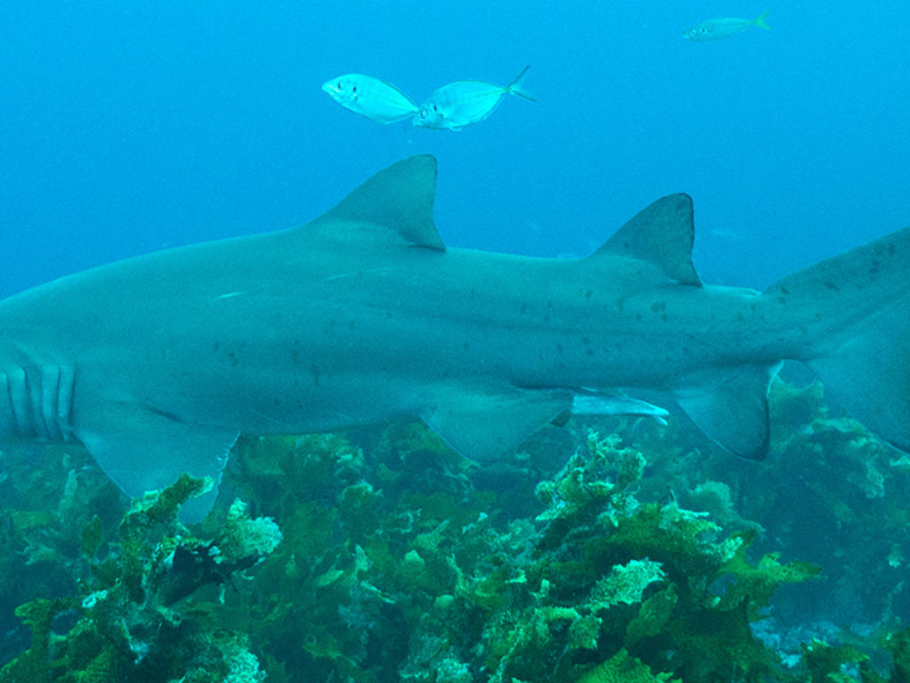 4e002d0f-2980-44f4-9dc9-e28a194f9769